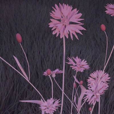 南宫28在线注册网站