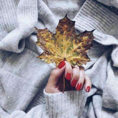 天健棋牌手机app下载