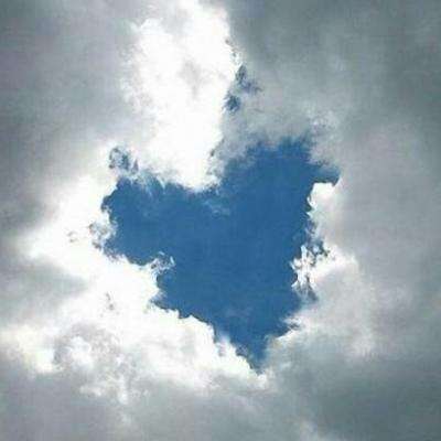 leyu乐鱼·体育下载手机版