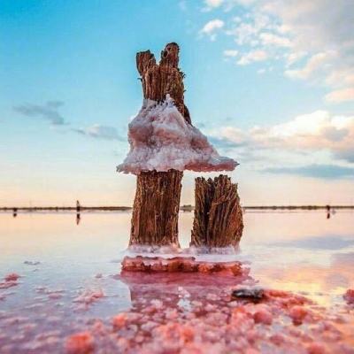 华体育手机app下载