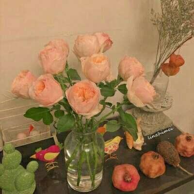 beat365下载唯一官方网