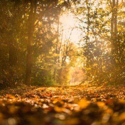 开玩棋牌手机app下载