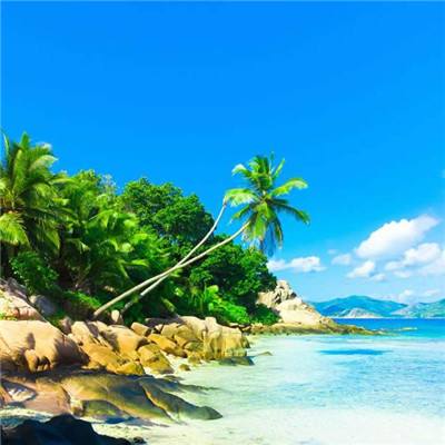 万博max体育官网