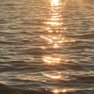 kok中欧登录入口app下载